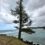 Norfolk Island March 2024